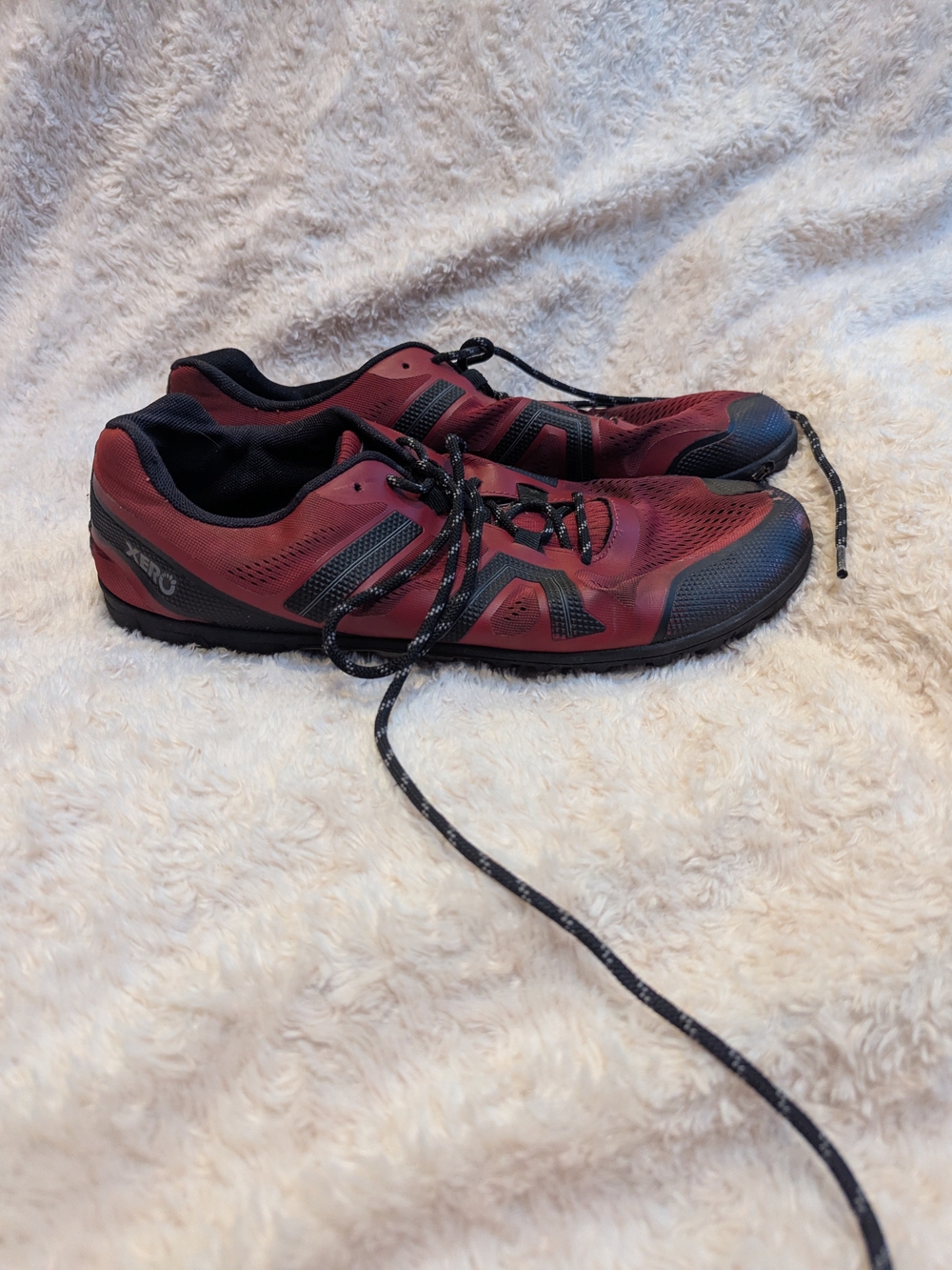 Men's Burgundy Low-Profile Sneakers by Xero